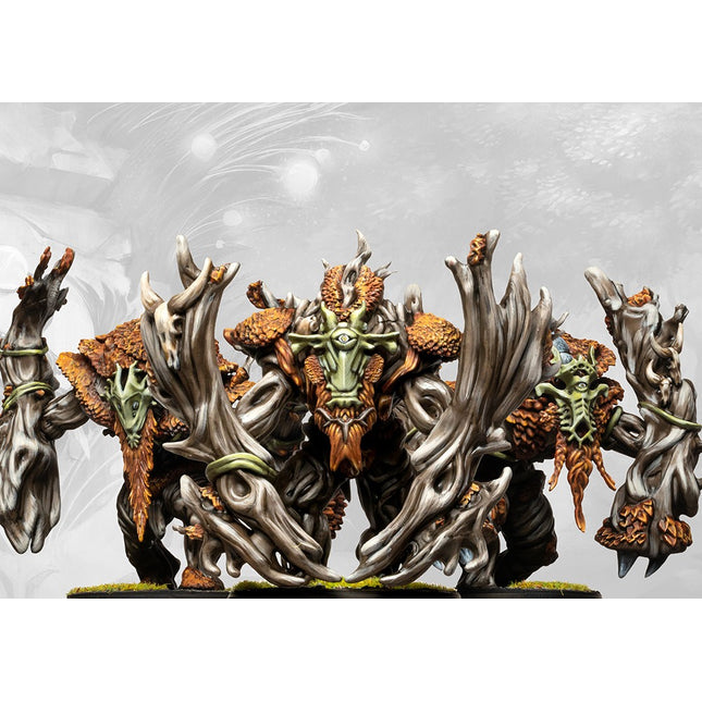 Weaver Courts Crann Guardians