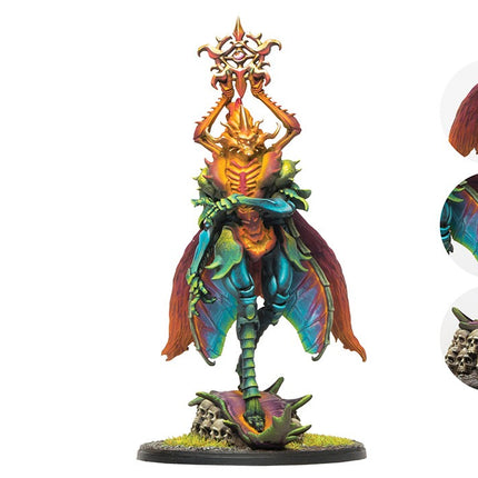 Weaver Courts Oberon Consort of Summer