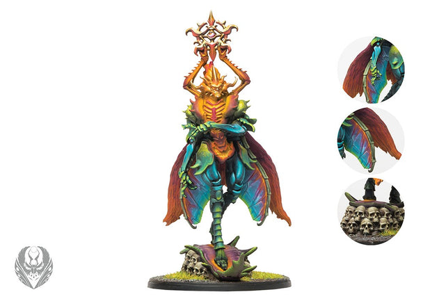 Weaver Courts Oberon Consort of Summer