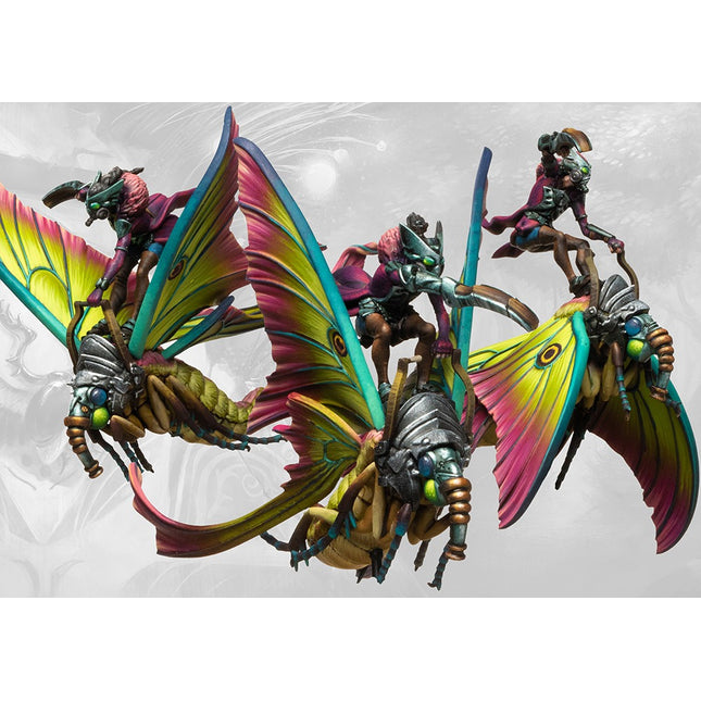 Weaver Courts Sciathan Riders