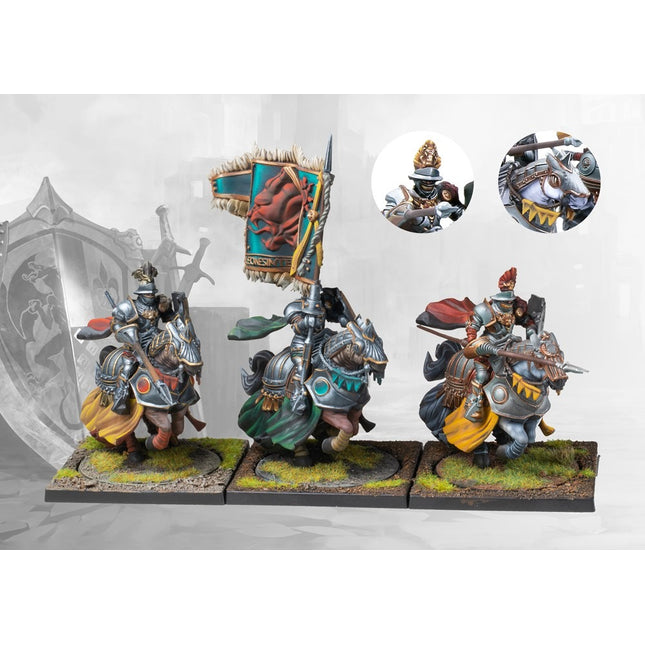 Hundred Kingdoms Household Knights