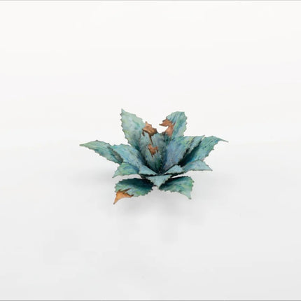 Laser Plants - Blue Agave