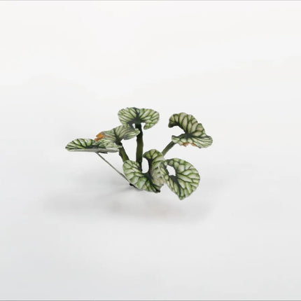 Laser Plants - Bugloss
