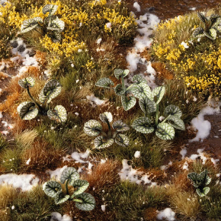 Laser Plants - Bugloss