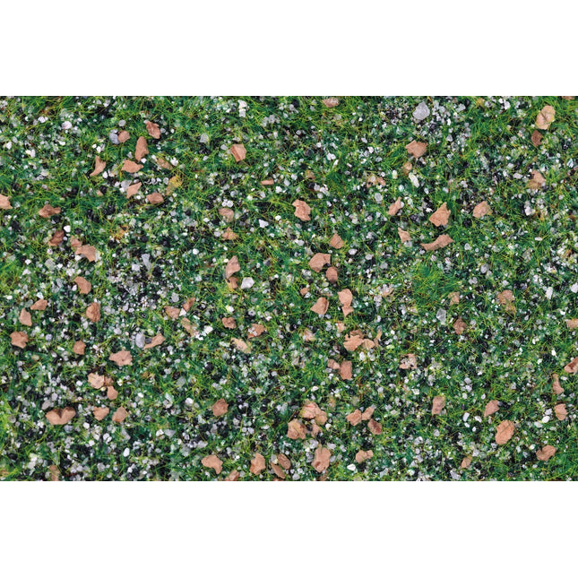 Base Ready Taiga Hillside