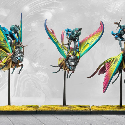 Weaver Courts Ciannir Riders