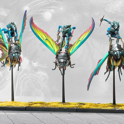 Weaver Courts Ciannir Riders