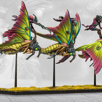 Weaver Courts Sciathan Riders