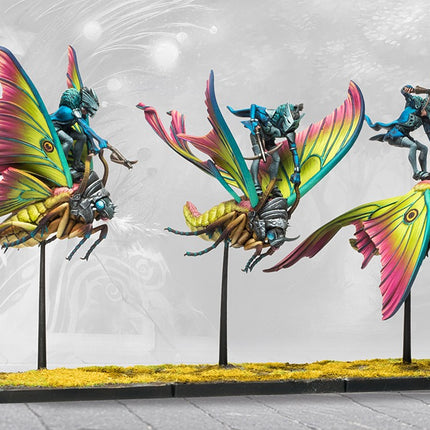 Weaver Courts Ciannir Riders