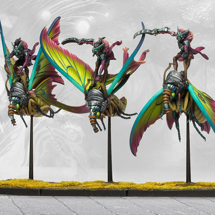 Weaver Courts Sciathan Riders