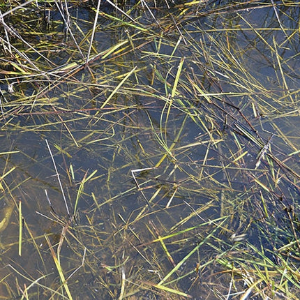 AK Diorama Still Water 250ml