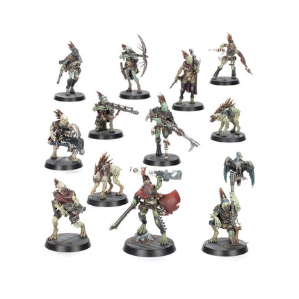 40K Kroot Combat Patrol