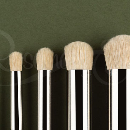 Model Dry Brush