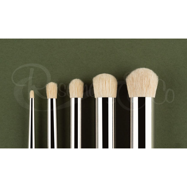 Model Dry Brush