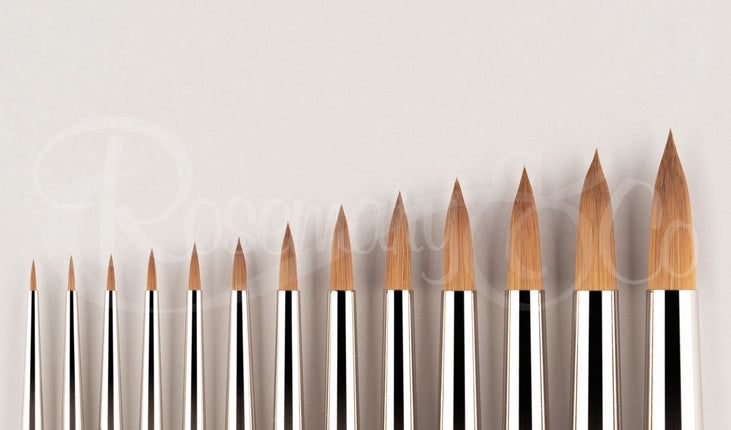 Red Dot. Spotters (short handle 7")