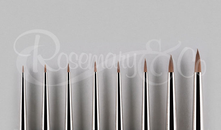 Red Dot. Mini Spotters (short handle 7")