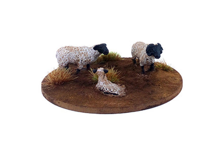 Dead Man's Hand - A Flock of Sheep (6)