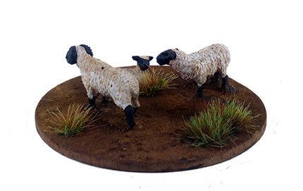 Dead Man's Hand - A Flock of Sheep (6)