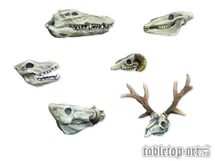 Animals Skulls Set (6) (TTA600020)