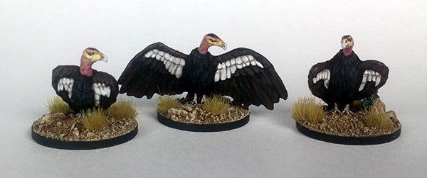 Dead Man's Hand - A Kettle of Vultures (3 models)