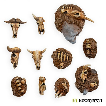 Animal Skulls & Bones (11pc)
