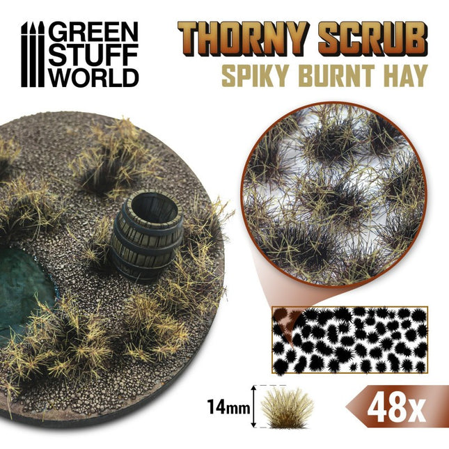 Thorny spikey scrub tufts burnt hay