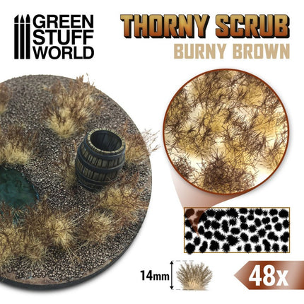 Thorny spikey scrub tufts Burny Brown
