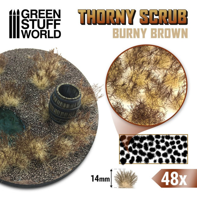 Thorny spikey scrub tufts Burny Brown